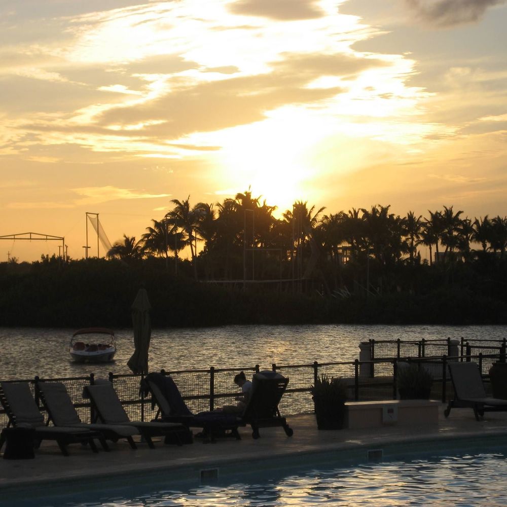 Meet your Posher, Louise